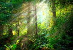 Carlota Roca