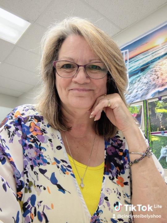Cynthia Steibel