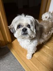 Ana Belén López García