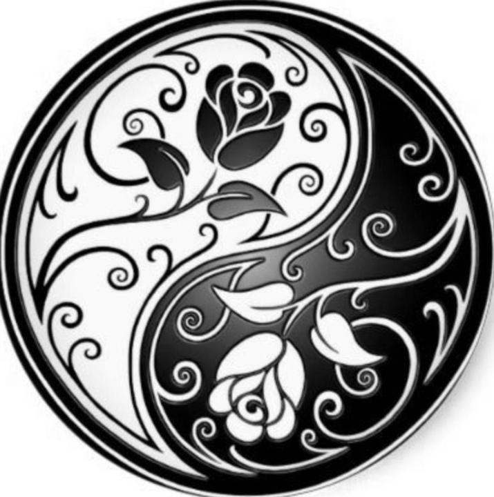 Windsong Shiner-Gal