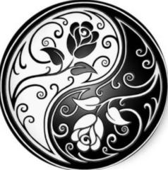 Windsong Shiner-Gal