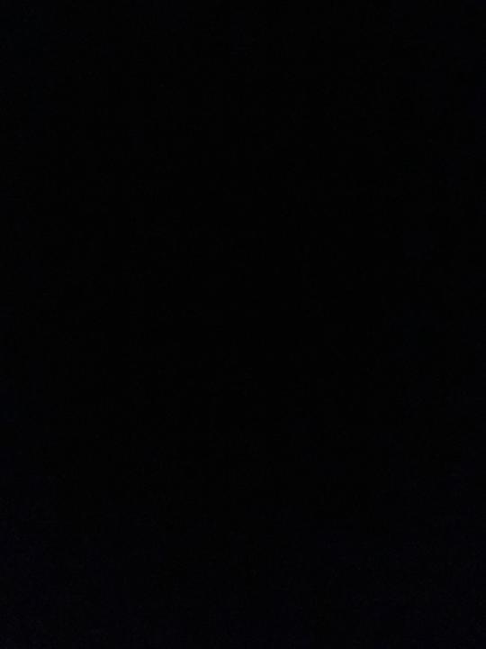 Kvietok Fialový