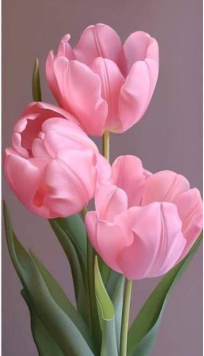 Gerelchimeg Tumurkhuyag