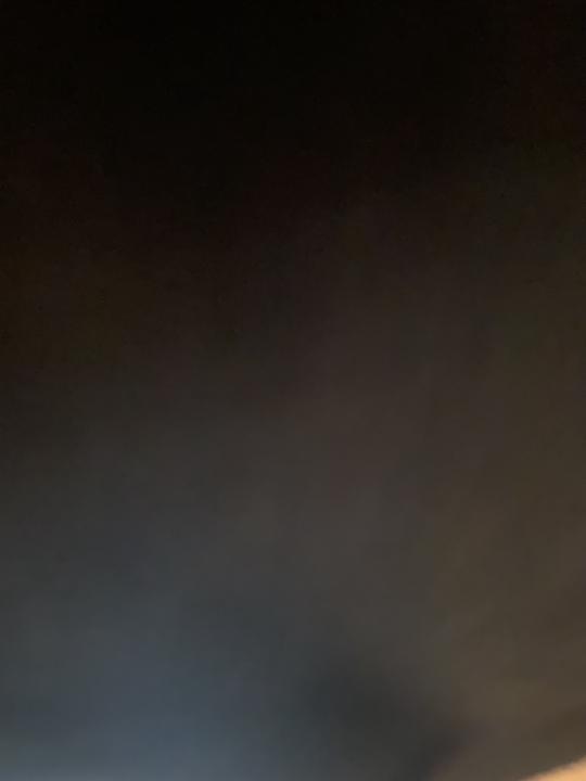 Brooklyn Prince Ashe willis