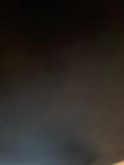 Brooklyn Prince Ashe willis