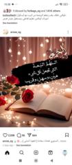 Mona Younis