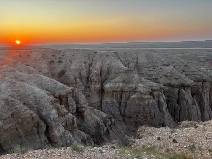 Amarjargal Borgilkhuyag