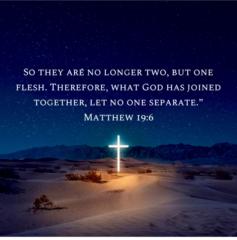 Stephen Darden