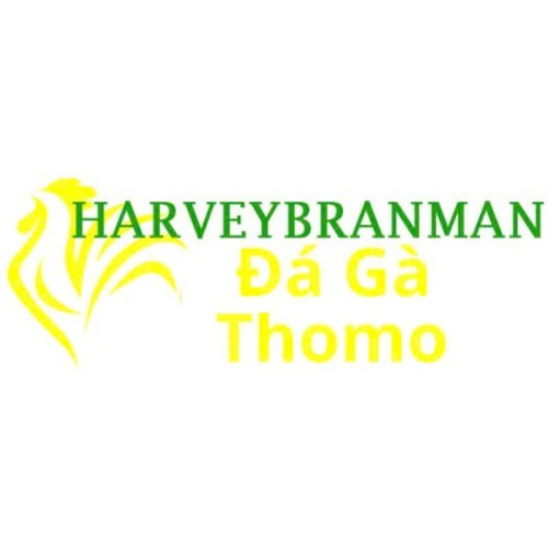 Đá Gà Trực Tiếp Thomo