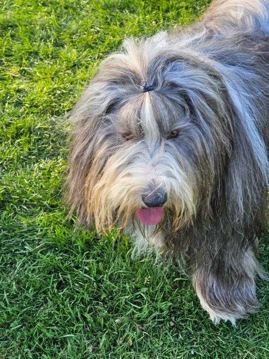 Karin klein Teeselink