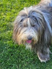 Karin klein Teeselink