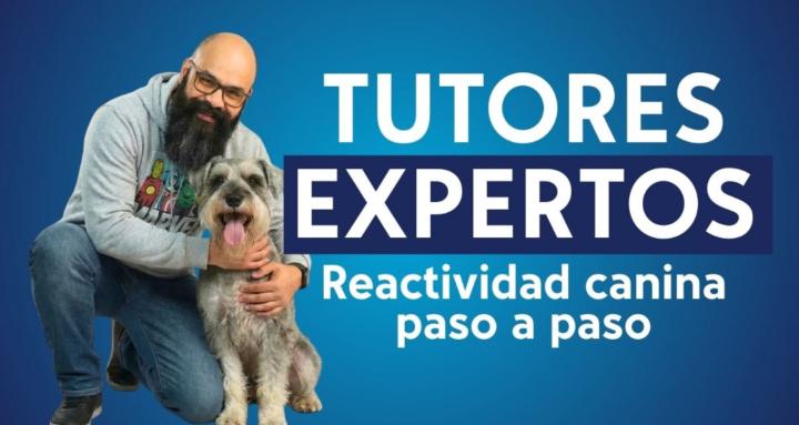 Tutores Expertos