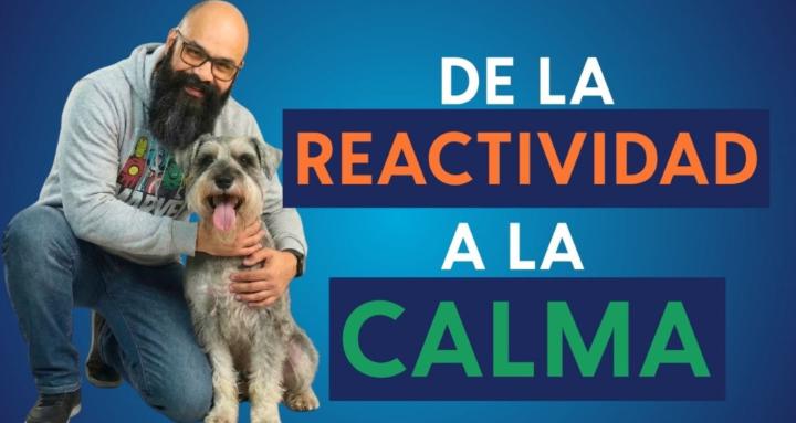 De la Reactividad a la Calma