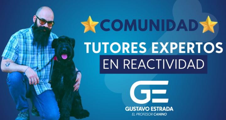 Tutores Expertos