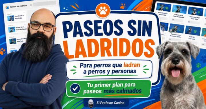 Paseos sin ladridos