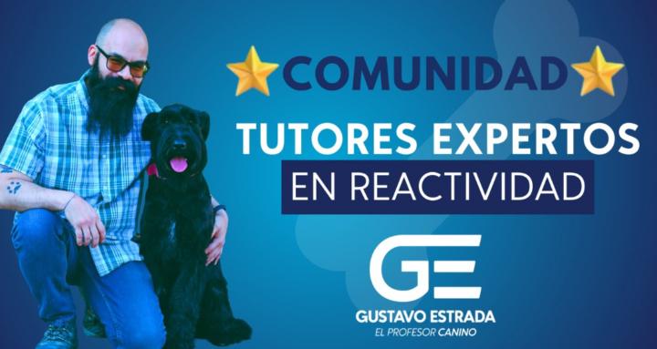 Tutores Expertos
