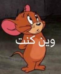 سماح يوسف