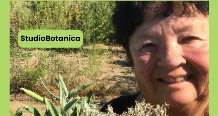 Studio Botanica