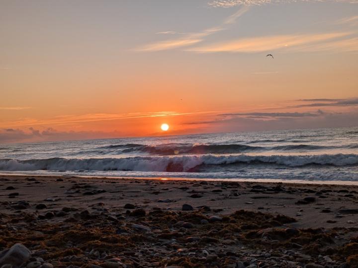 Victoria Fernández Martín