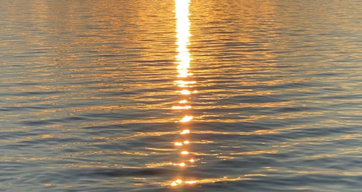 Self Care & Integration 