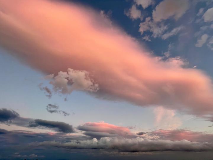 Catherine Chifflot