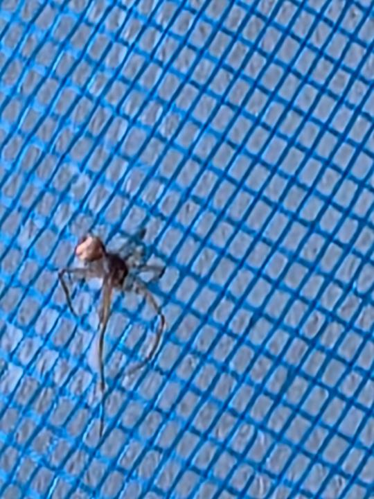 José Durán Cortés