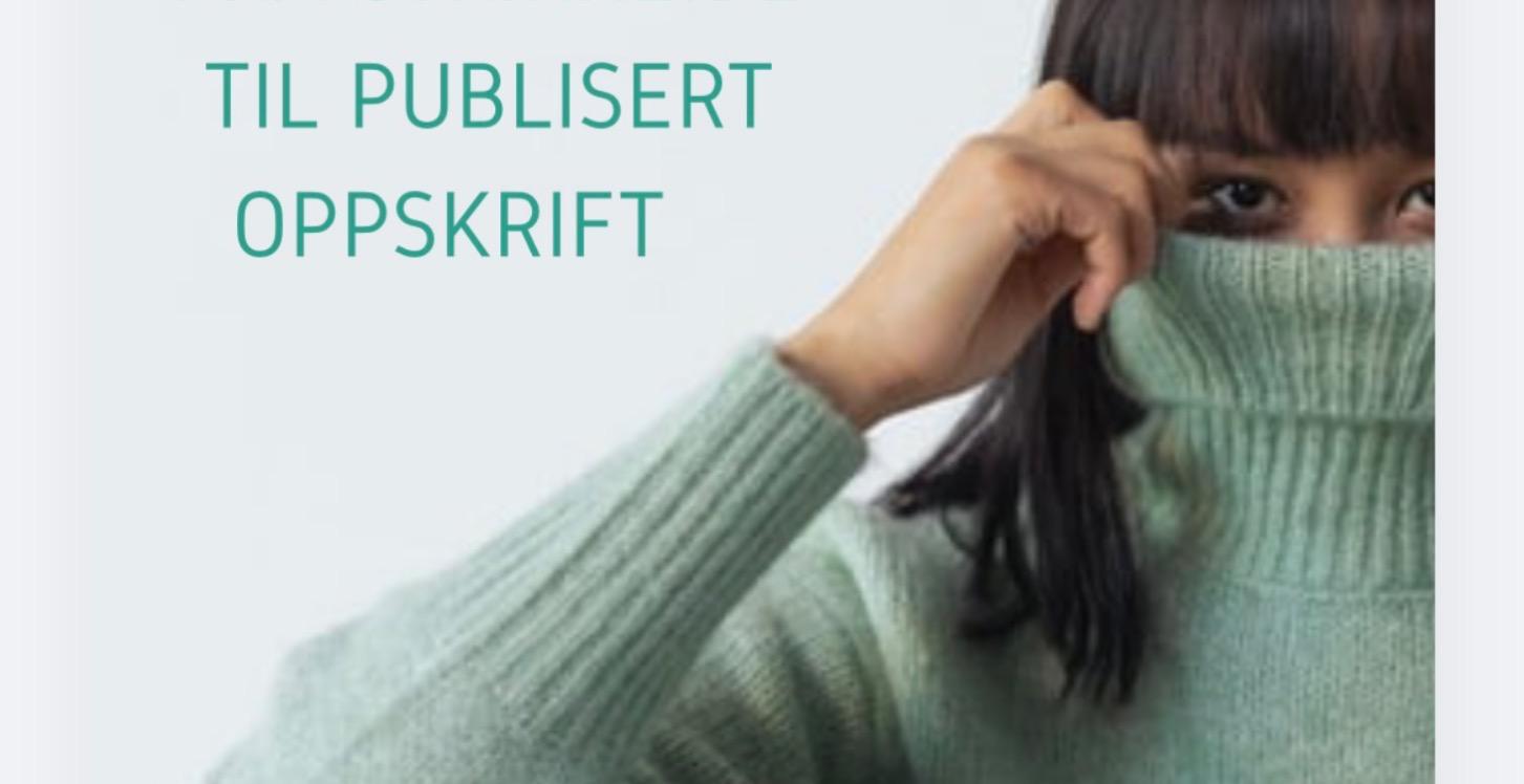 Workshop - Fra Ide til Publisert oppskrift