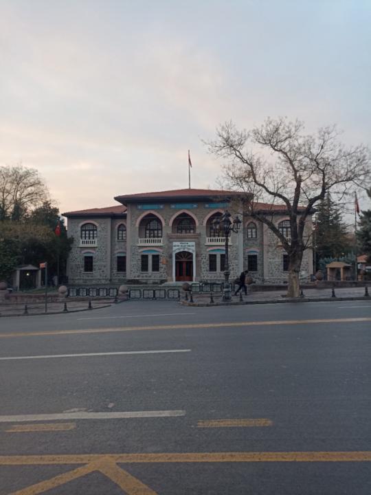 Üniversiteli Gümüş