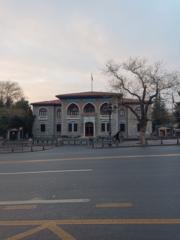 Üniversiteli Gümüş