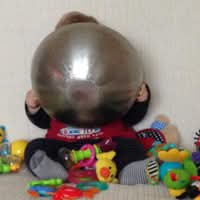 Maksymilian Wojciechowski