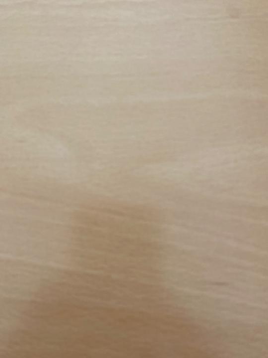 Bea Gallego Guillamón