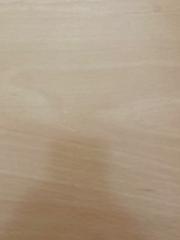 Bea Gallego Guillamón