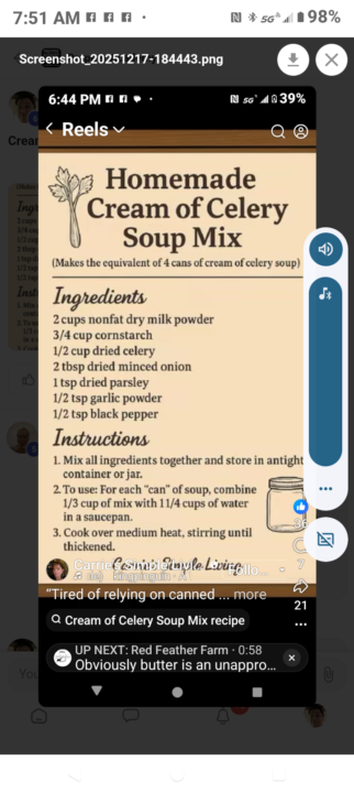 Cream of Celery soup mix