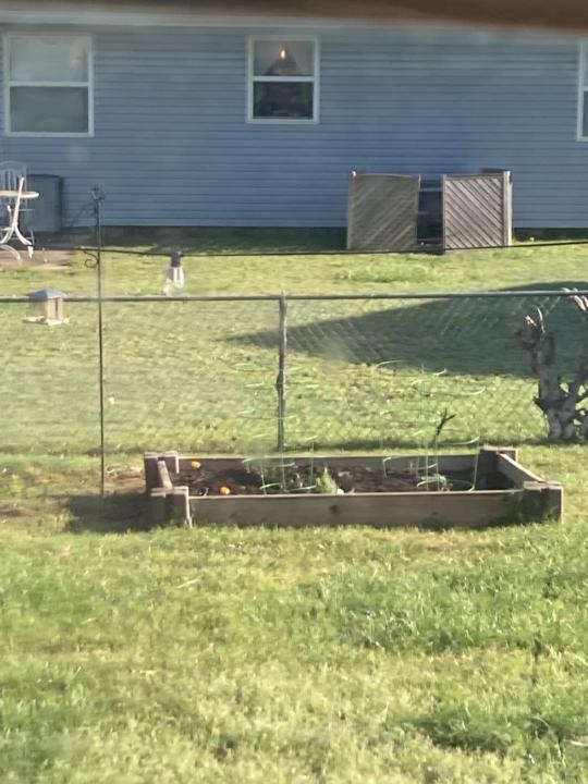 Gardening