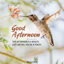 Have a great afternoon!