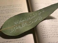 Elmonzir Hamed
