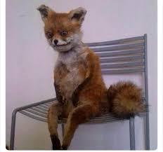 How Everybody Looking After Day 16