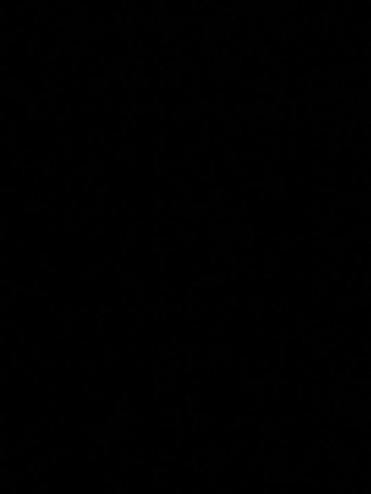 Youssef El mechhouri