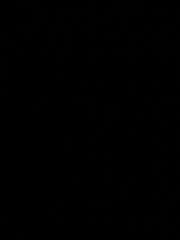 Youssef El mechhouri