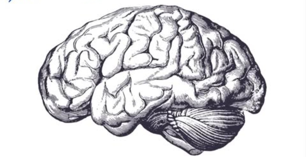 The Future & The Evolution of Consciousness