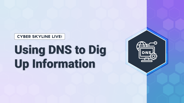 How to use DNS to Dig Up Information - CYBER Webinar