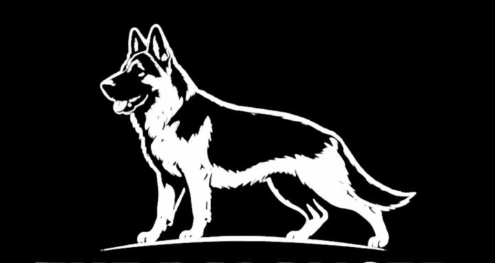 The Balanced Shepherd