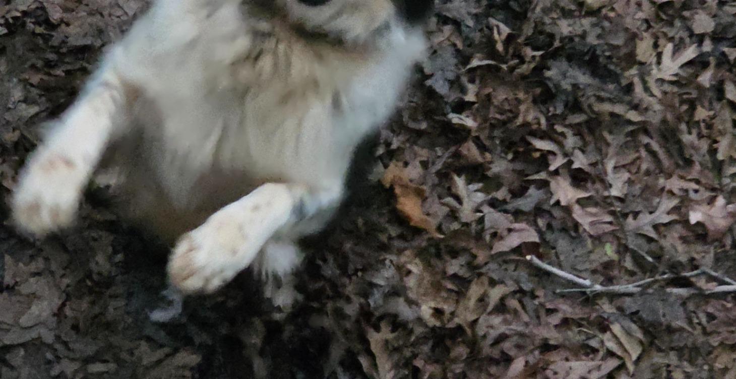 Is This normal, concerning, or an emergency