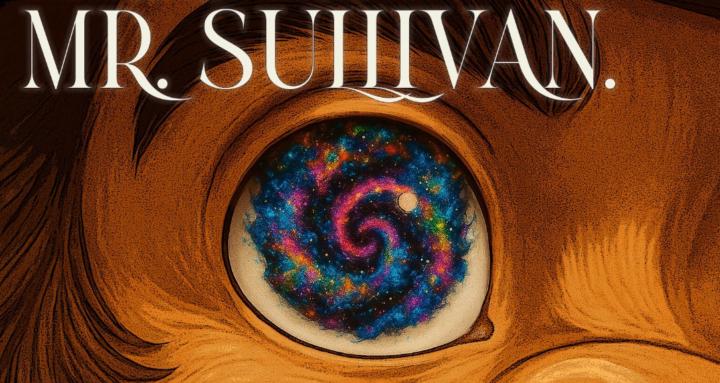 Mr. Sullivan’s Drawer of Masks