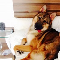 Sharat Chandrasekhar