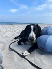 Christian Johannigmann