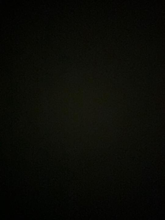 字瑋 林