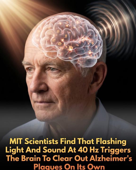 Combat Alzheimer's Disease