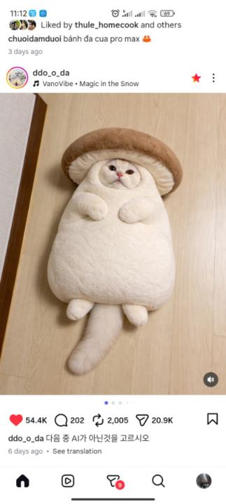 Loi Nguyen Huynh Tan