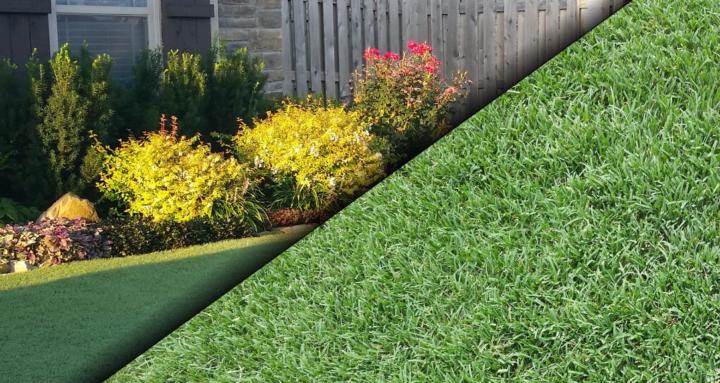 Budget Lawns